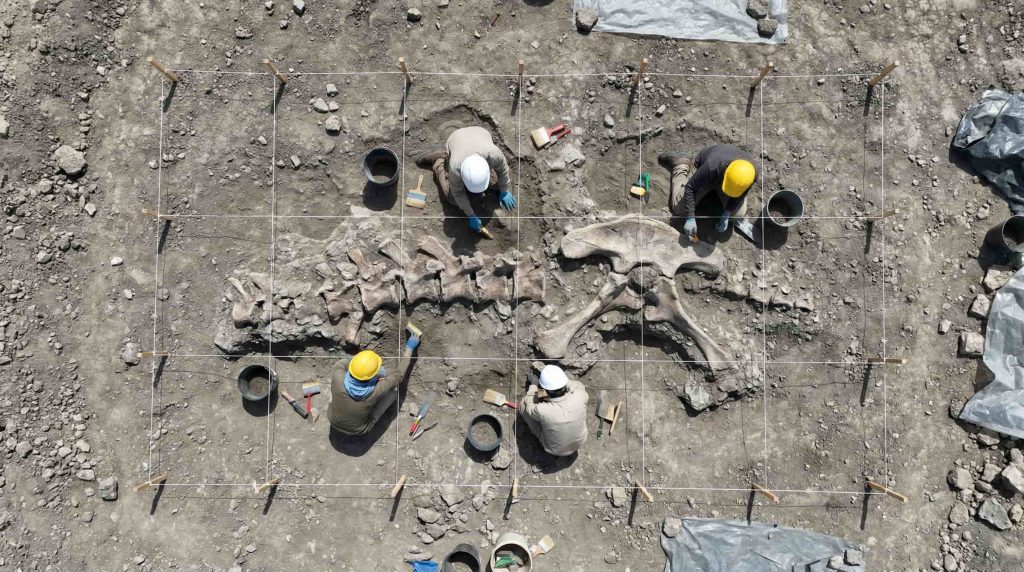 Site de fouille archéologique du Mitosaldaite en patagonie